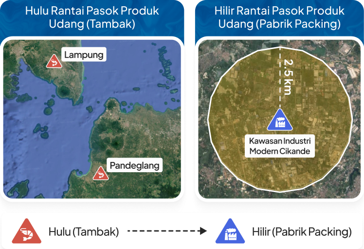 Rantai pasok udang ekspor